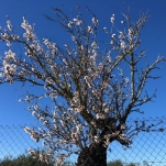 IMG-20190219-WA0039