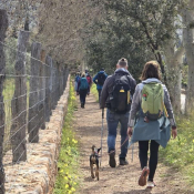 IMG-20250313-WA00252