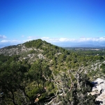 23333923_143770209584555_8865847828686796896_o