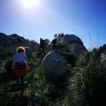 23415196_143770062917903_2841241665981678304_o