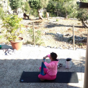 Frühsport mit Aussicht