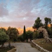 Ein- und Ausblicke von Muleta de Ca S'Hereu