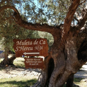 Ein- und Ausblicke von Muleta de Ca S'Hereu