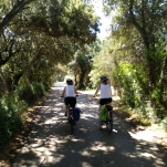IMG-20180620-WA0129