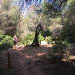 _IMG-20180621-WA0014