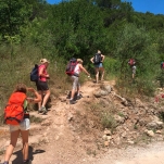 _IMG-20180621-WA0026