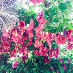 _IMG-20180622-WA0000