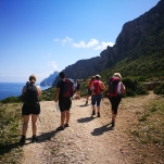 _IMG_20180617_113638