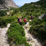 _IMG_20180617_114604