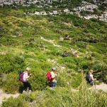 _IMG_20180617_115208