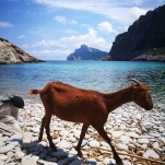 _IMG_20180617_124121