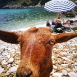 _IMG_20180617_124236