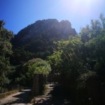 _IMG_20180619_110620