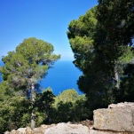 _IMG_20180619_120131