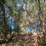 _IMG_20180619_132930