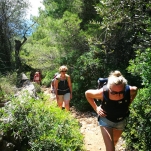 _IMG_20180621_123717